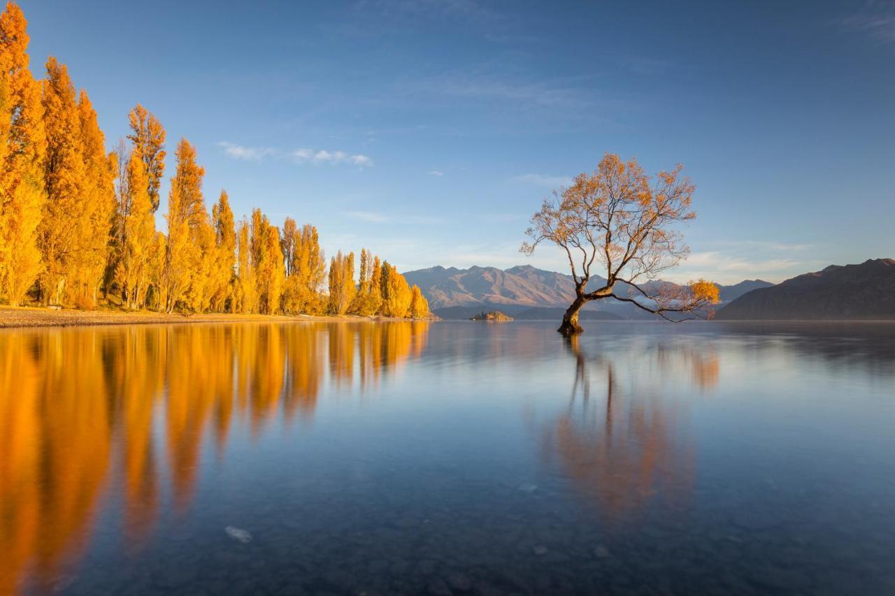 Archway Motels & Chalets Wanaka Eksteriør billede